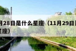 11月28日是什么星座（11月29日是什么星座）