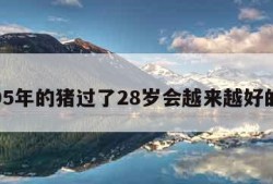 包含95年的猪过了28岁会越来越好的词条