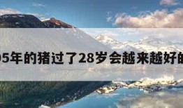 包含95年的猪过了28岁会越来越好的词条