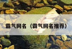 霸气网名（霸气网名推荐）