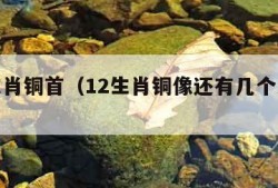 十二生肖铜首（12生肖铜像还有几个没回来）