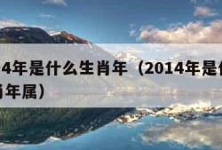 2014年是什么生肖年（2014年是什么生肖年属）