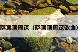 萨顶顶周深（萨顶顶周深歌曲）