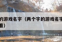 两个字的游戏名字（两个字的游戏名字加什么符号好看）