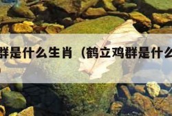 鹤立鸡群是什么生肖（鹤立鸡群是什么生肖查明原因）