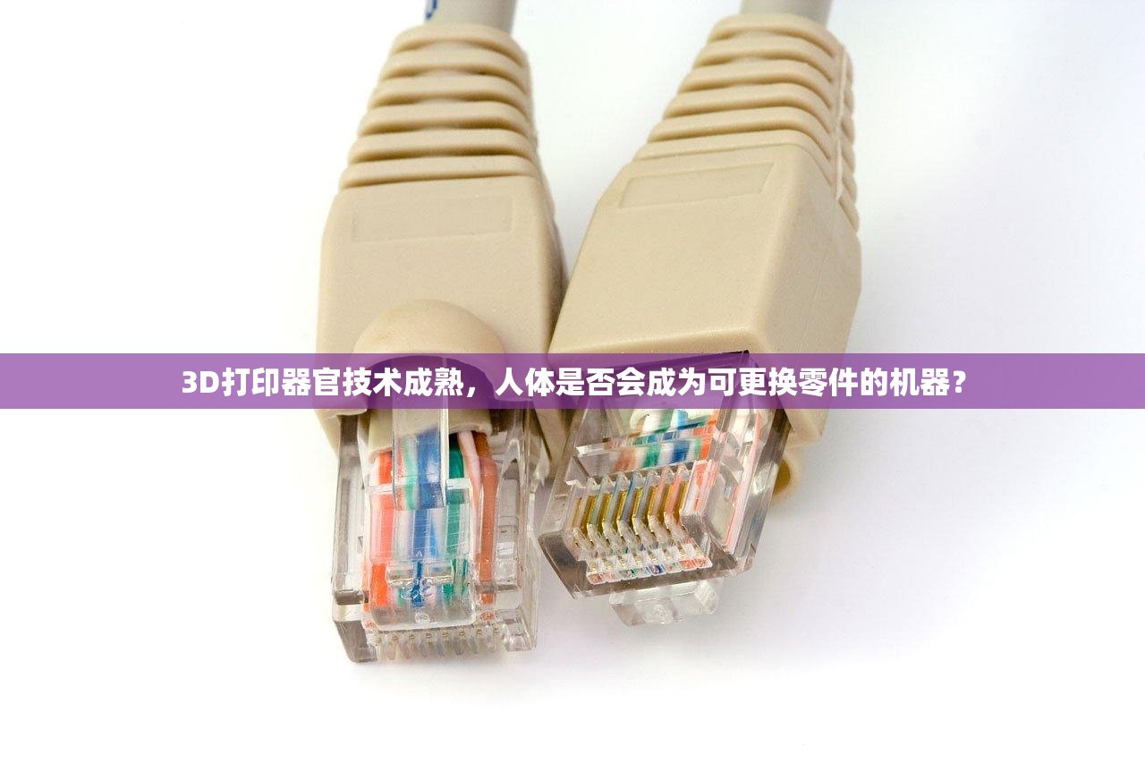 外卖平台算法优化，是精准服务还是变相剥夺消费者选择权？