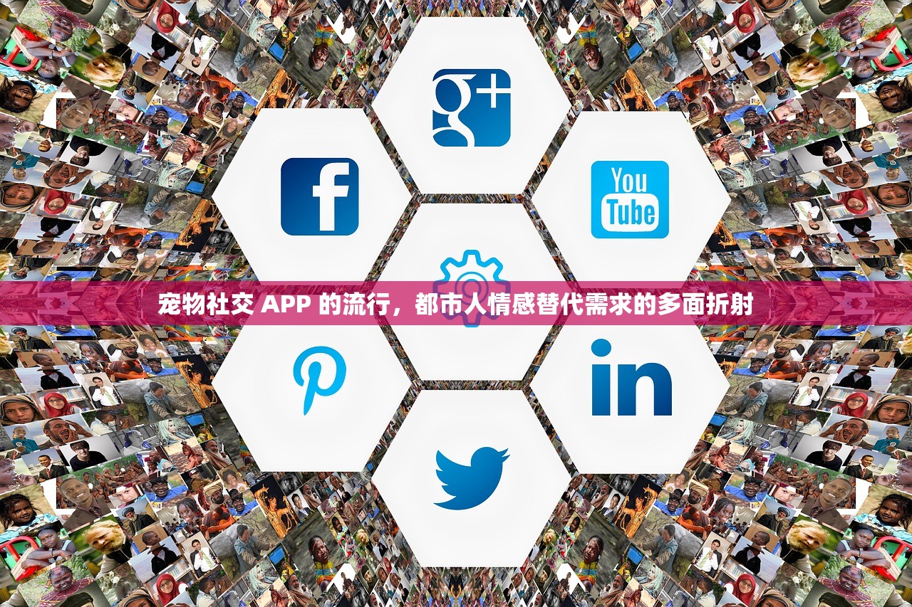 快时尚品牌隐瞒化学残留是否构成生态欺诈？