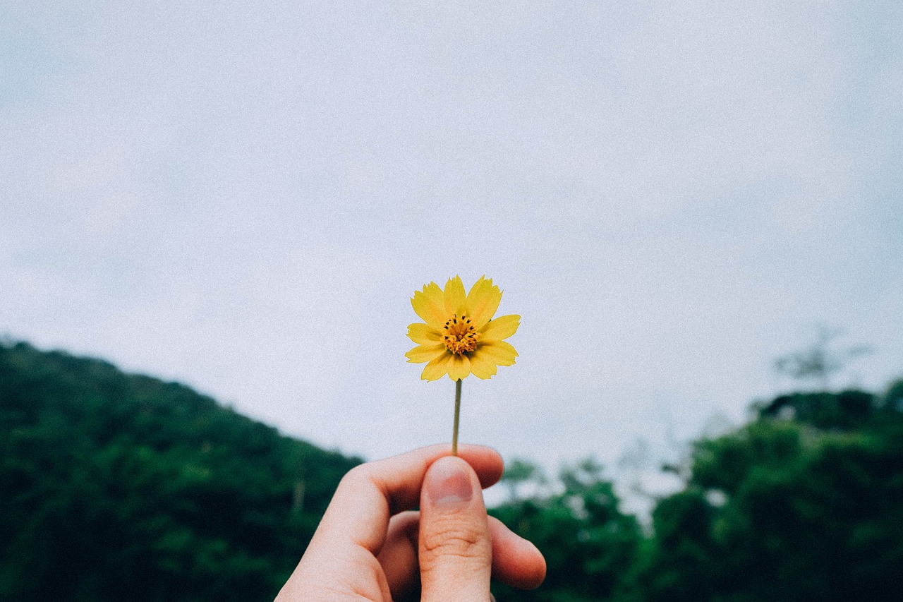 如何构建可持续的生活方式，迈向绿色未来之路